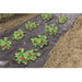 FOUDEBASSIN.COM Film de paillage micro-perforé spécial fraises - LDPE noir, 50µ - 1,40 x 20 m 8711338302316 6030231