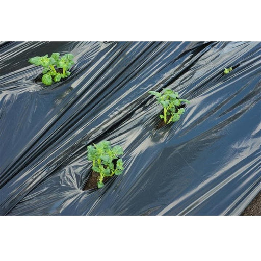 FOUDEBASSIN.COM Film de paillage POMME DE TERRE - LDPE/LLDPE noir, 20µ, 25 segments pré-perforés à ouvrir - 0,95 x 10 m 8711338302699 6030269