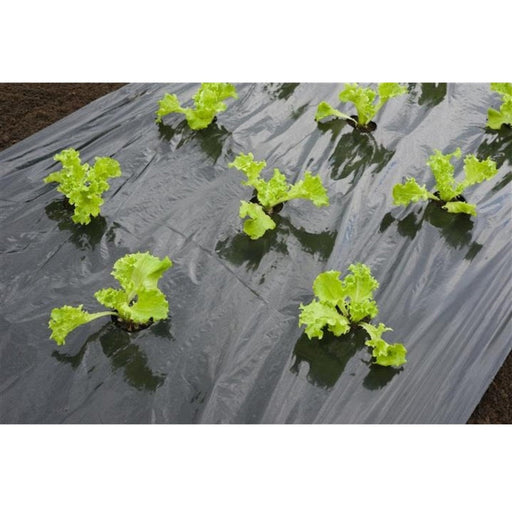 FOUDEBASSIN.COM Film de paillage SALADE - LDPE/LLDPE noir, 20µ, trous découpés : 45xØ60 mm - 0,95 x 5 m 8711338302651 6030265
