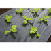 FOUDEBASSIN.COM Film de paillage SALADE - LDPE/LLDPE noir, 20µ, trous découpés : 45xØ60 mm - 0,95 x 5 m 8711338302651 6030265