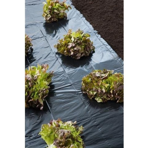 FOUDEBASSIN.COM Film de paillage toutes cultures - LDPE noir, 30µ - 1,40 x 5 m 8711338302309 6030230
