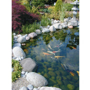 FOUDEBASSIN.COM FiltraClear® 6000 PlusSet - 8711465551663 1355166