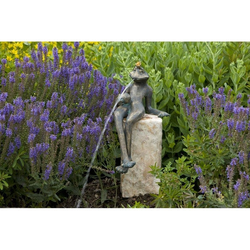 FOUDEBASSIN.COM Froschkönig Gunter wsp., 32 cm hoch 550010900 88765