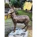 FOUDEBASSIN.COM Gams, klein 2450210000 89030