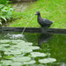FOUDEBASSIN.COM Gargouille "Canard" - coloris anthracite/bronze, polyrésine, Ø9-13 mm - H24 x 15 x 29 cm 8711465860895  1386089