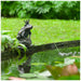 FOUDEBASSIN.COM Gargouille "Reine grenouille" - coloris anthracite/bronze, polyrésine, Ø9-13 mm - H27 x 19 x 20 cm 8711465860901 1386090