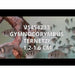 FOUDEBASSIN.COM GYMNOCORYMBUS TERNETZI 1,6-2CM 8715897212567 V1454233