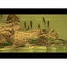 FOUDEBASSIN.COM GYRINOCHEILUS AYMONIERI 4-4,5CM 8715897053092 V1454250