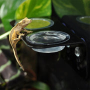 FOUDEBASSIN.COM HABISTAT ARBOREAL FEEDING LEDGE DOUBLE 5027407014749 R3100020