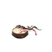 FOUDEBASSIN.COM HABISTAT CALCI DISH 5027407014183 R3100055
