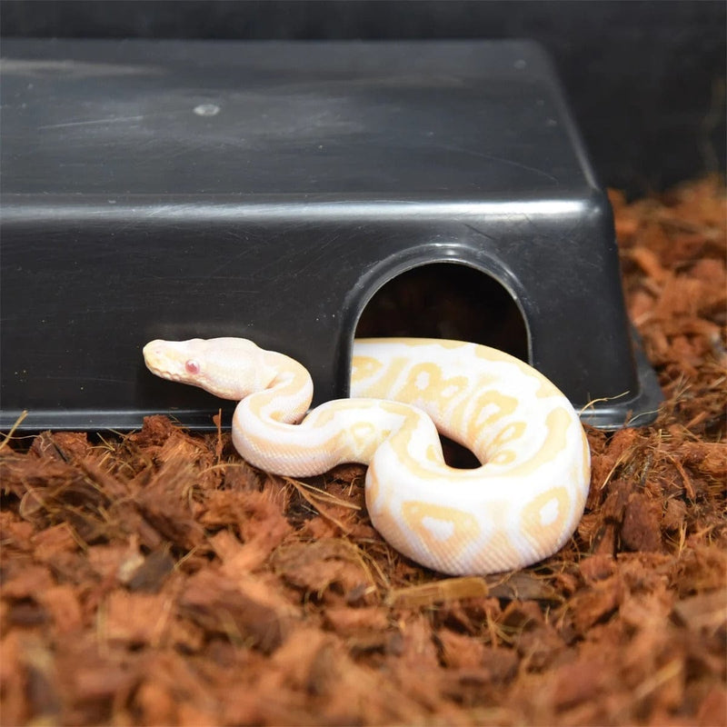 FOUDEBASSIN.COM Substrats pour reptiles HABISTAT COIR COARSE HUSK 05 5027407013513 R4100060