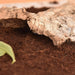 FOUDEBASSIN.COM Substrats pour reptiles HABISTAT COIR SUBSTRATE 5 LITRES 5027407012714 R4100050