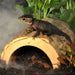 FOUDEBASSIN.COM HABISTAT FOREST HIDEOUT MEDIUM 5027407015043 R5100230