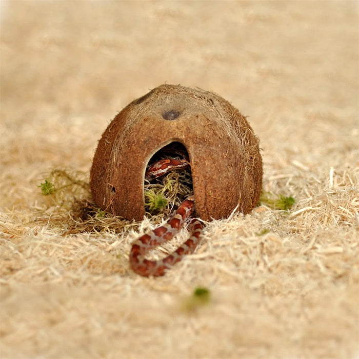 FOUDEBASSIN.COM HABISTAT HATCHLING SNAKE STARTER KIT OAK 61X38X30CM 5027407014251 R1100285