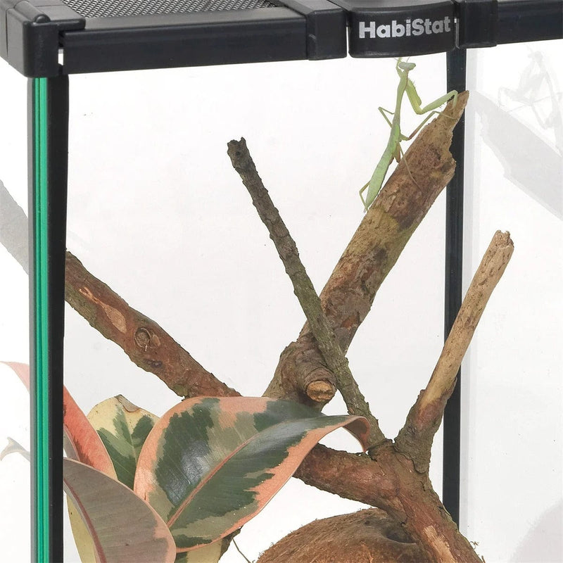 FOUDEBASSIN.COM HABISTAT INVERTEBRATE STARTER KIT 5027407014718 R1100275