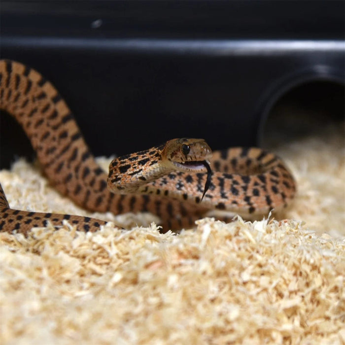 FOUDEBASSIN.COM Substrats pour reptiles HABISTAT LIGNOCEL 10 LITRES 5027407012967 R4100065