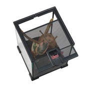 FOUDEBASSIN.COM HABISTAT MINI GLASS TERRARIUM 20 X 20 X 30CM BUILT 5027407013551 R1100050