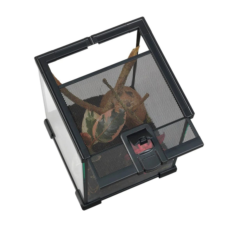 FOUDEBASSIN.COM HABISTAT MINI GLASS TERRARIUM 20 X 20 X 30CM BUILT 5027407013551 R1100050