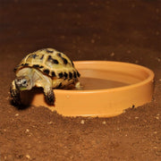 FOUDEBASSIN.COM HABISTAT ROUND PLASTIC WATER BOWL 13 X 13 X 2.5CM 	5027407013988 R3100045