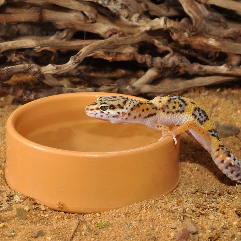 FOUDEBASSIN.COM HABISTAT ROUND PLASTIC WATER BOWL LARGE 13 X 13 X 4.5CM 	5027407014046 R3100040
