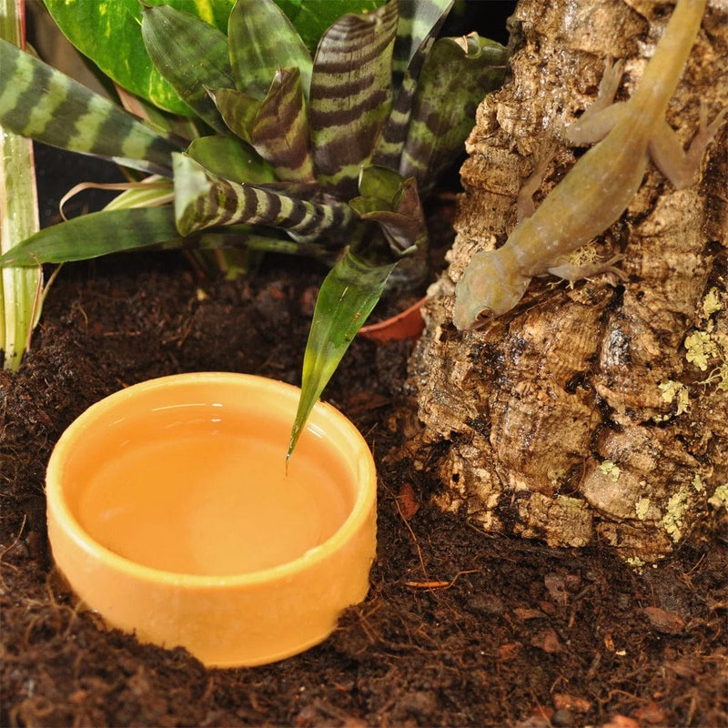 FOUDEBASSIN.COM HABISTAT ROUND PLASTIC WATER BOWL MEDIUM 9 X 9 X 3.5CM 5027407006690 R3100030