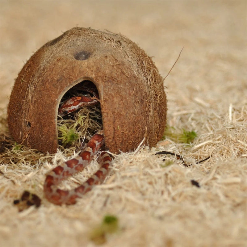 FOUDEBASSIN.COM Substrats pour reptiles HABISTAT SNAKE BEDDING 10 LITRES 5027407000254 R4100145