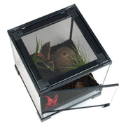 FOUDEBASSIN.COM HABISTAT SPIDER STARTER KIT 5027407014725 R1100290