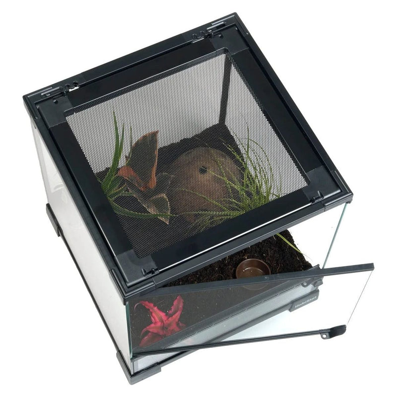 FOUDEBASSIN.COM HABISTAT SPIDER STARTER KIT 5027407014725 R1100290