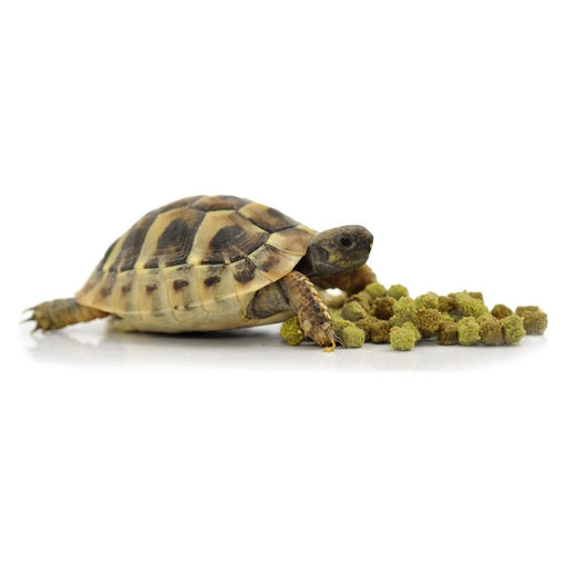 FOUDEBASSIN.COM HABISTAT TORTOISE FOOD FRUIT & FLOWER 400 GRAM 5027407014435 R8100030