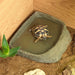 FOUDEBASSIN.COM HABISTAT TORTOISE TABLE ACCESSORY KIT 5027407014275 R1100025