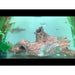 FOUDEBASSIN.COM HEMIGRAMMUS ERYTHROZONUS 1,7-2CM 8715897210990 V1454453