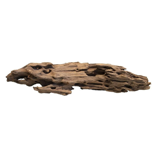 FOUDEBASSIN.COM HONEYCOMB WOOD LARGE 8715897336812 A4080370