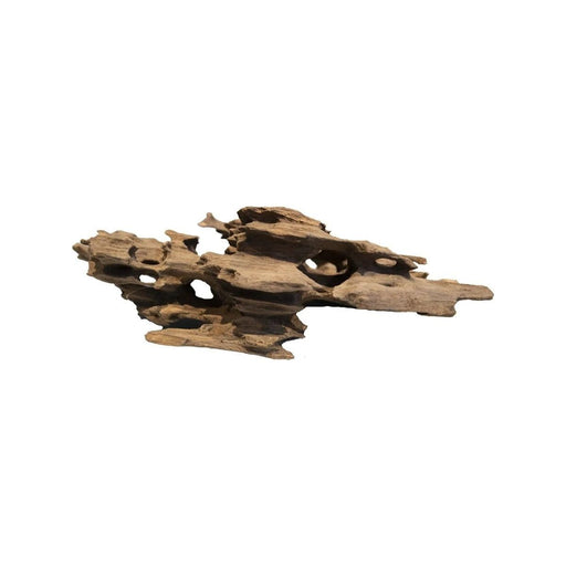 FOUDEBASSIN.COM HONEYCOMB WOOD SMALL 8715897336799 A4080360