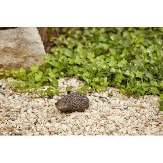 FOUDEBASSIN.COM Igel Baby nach links schauend 8 cm hoch 710004990 89011