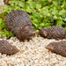 FOUDEBASSIN.COM Igel Mutter 14 cm hoch 240018600 89010