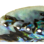 FOUDEBASSIN.COM In-Kin 6 cm 8435131213784 MI005