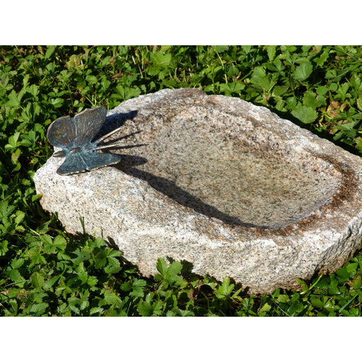 FOUDEBASSIN.COM Insektentränke mit Schmetterling 3654592490 42056