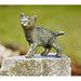 FOUDEBASSIN.COM Junge Katze Lilly 16cm 960004490 89005