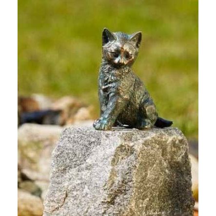 FOUDEBASSIN.COM Junge Katze sitzend auf Granit 830008490 89006.4