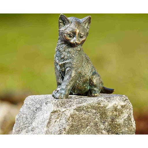 FOUDEBASSIN.COM Junge Katze sitzend 520004490 89006