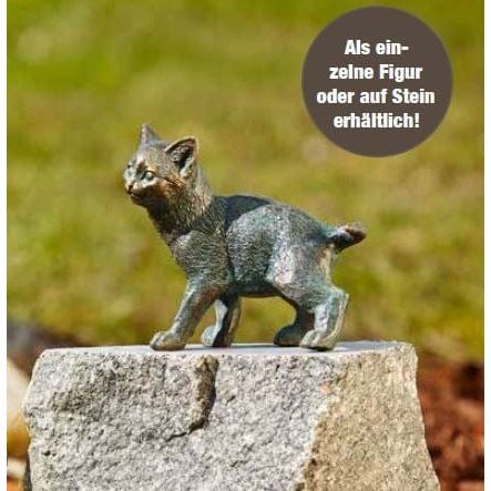 FOUDEBASSIN.COM Junge Katze stehend auf Granit 550008490 89005.4