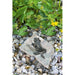 FOUDEBASSIN.COM Kletterfrosch II (rechtes Bein lang) 16 cm lang 650003800 88497