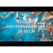 FOUDEBASSIN.COM KOI STANDARD SBS 25-30 CM 8715897308802 V1235195