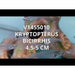 FOUDEBASSIN.COM KRYPTOPTERUS BICIRRHIS 4,5-5CM 8715897053245 V1455010