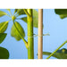 FOUDEBASSIN.COM Lien métallique plastifié rugueux vert - 50 m 8711338404584 6040458