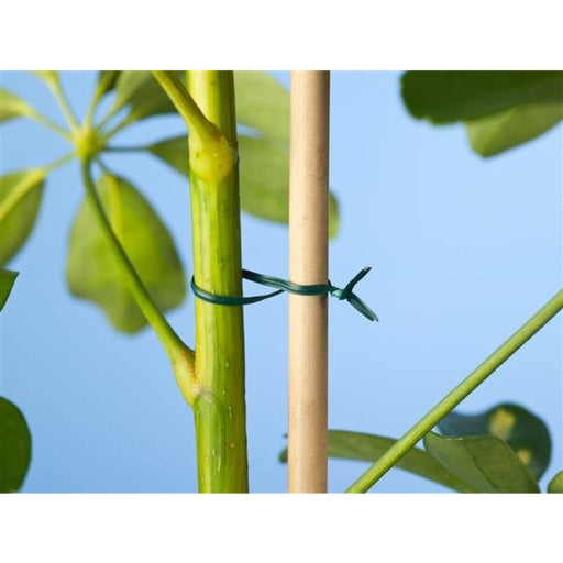 FOUDEBASSIN.COM Lien plastique armé vert - 50 m 8711338404645 6040464