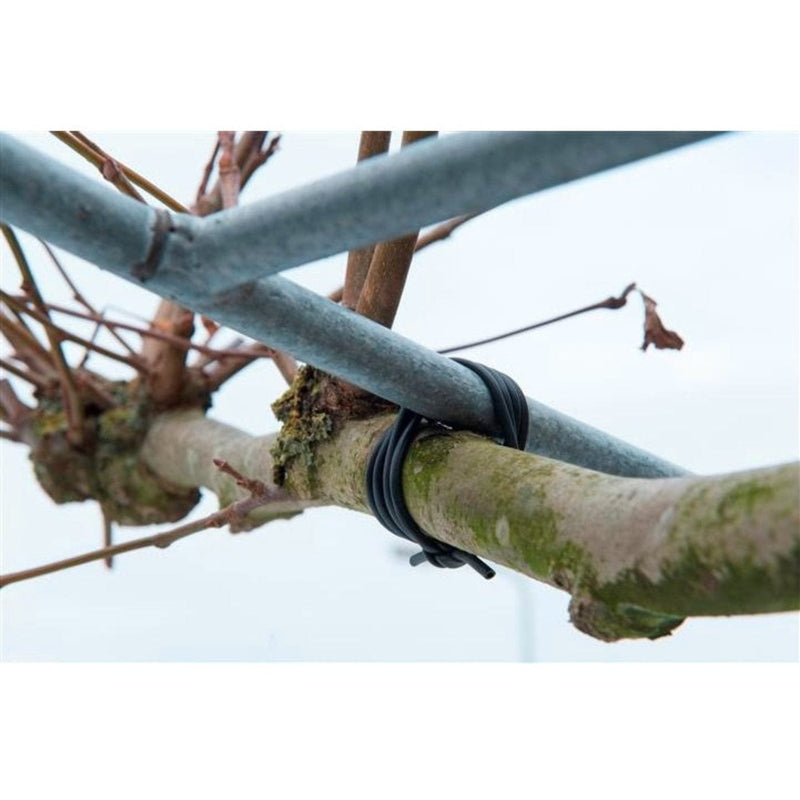 FOUDEBASSIN.COM Lien souple noir de tuteurage - Ø3 mm x 50 m 8711338404027 6040402