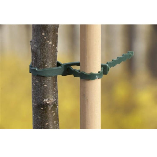 FOUDEBASSIN.COM Lien universel de tuteurage en PE vert - 11,5 cm - 70 x 8711338404317 6040431
