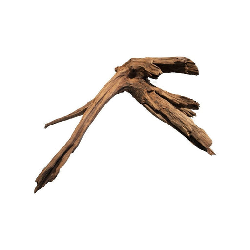 FOUDEBASSIN.COM MANGROVE AGED WOOD LARGE 8715897336768 A4080345