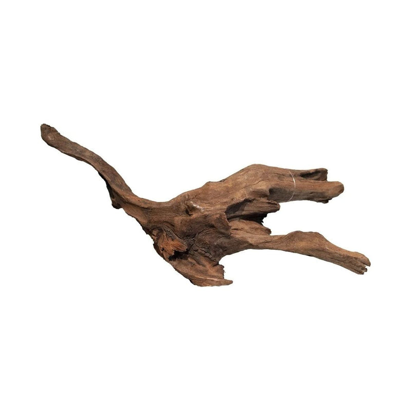 FOUDEBASSIN.COM MANGROVE AGED WOOD MEDIUM 8715897336751 A4080340